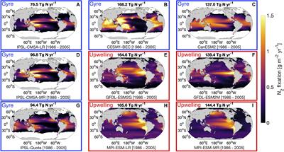 Quantifying the Impact of Climate Change on Marine Diazotrophy: Insights From Earth System Models